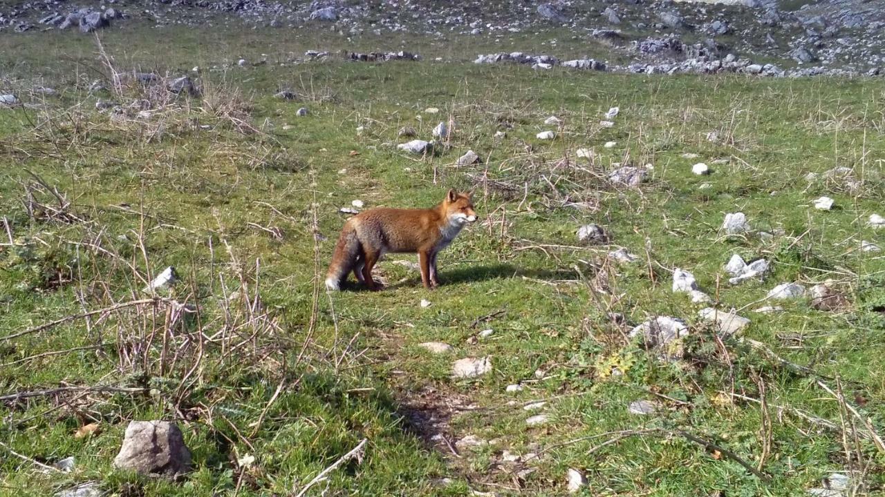 Natour L'Ostello Per I Camminatori Barisciano Luaran gambar